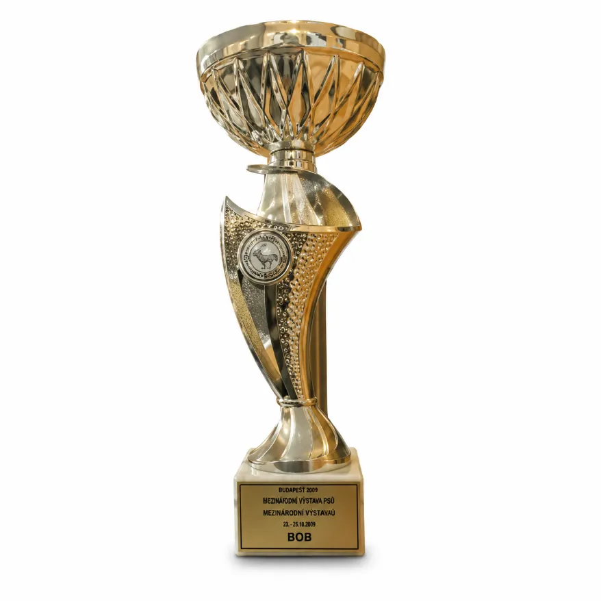 Imani Flowers award trophy