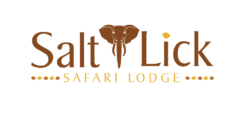 Salt Lick Safari Lodge