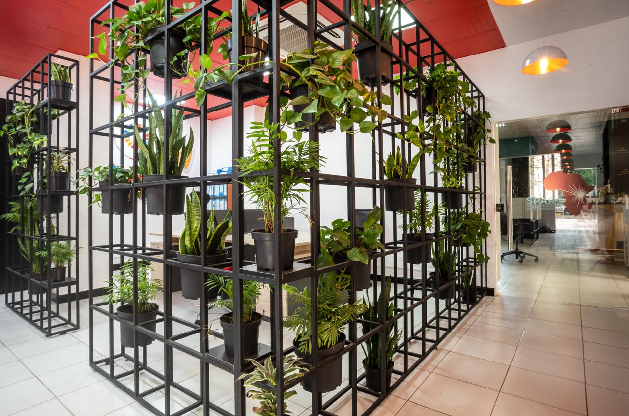Office workspace with red ceiling and planted divider